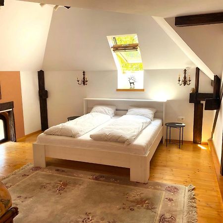Rose'S Oldtown Apartment Брашов Экстерьер фото