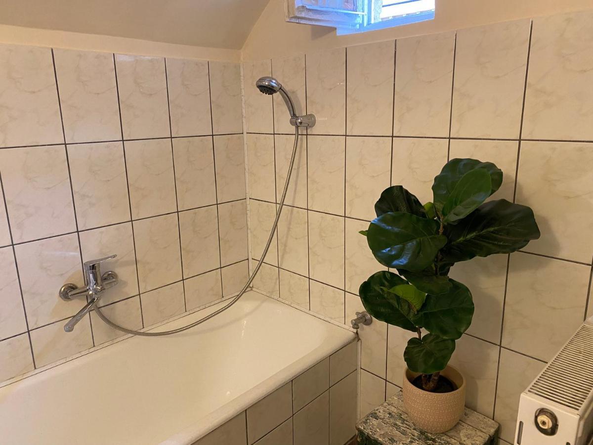 Rose'S Oldtown Apartment Брашов Экстерьер фото
