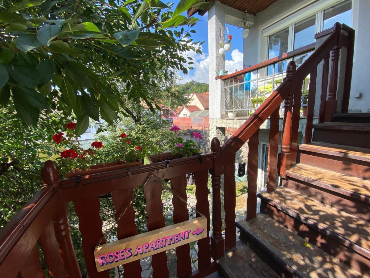 Rose'S Oldtown Apartment Брашов Экстерьер фото
