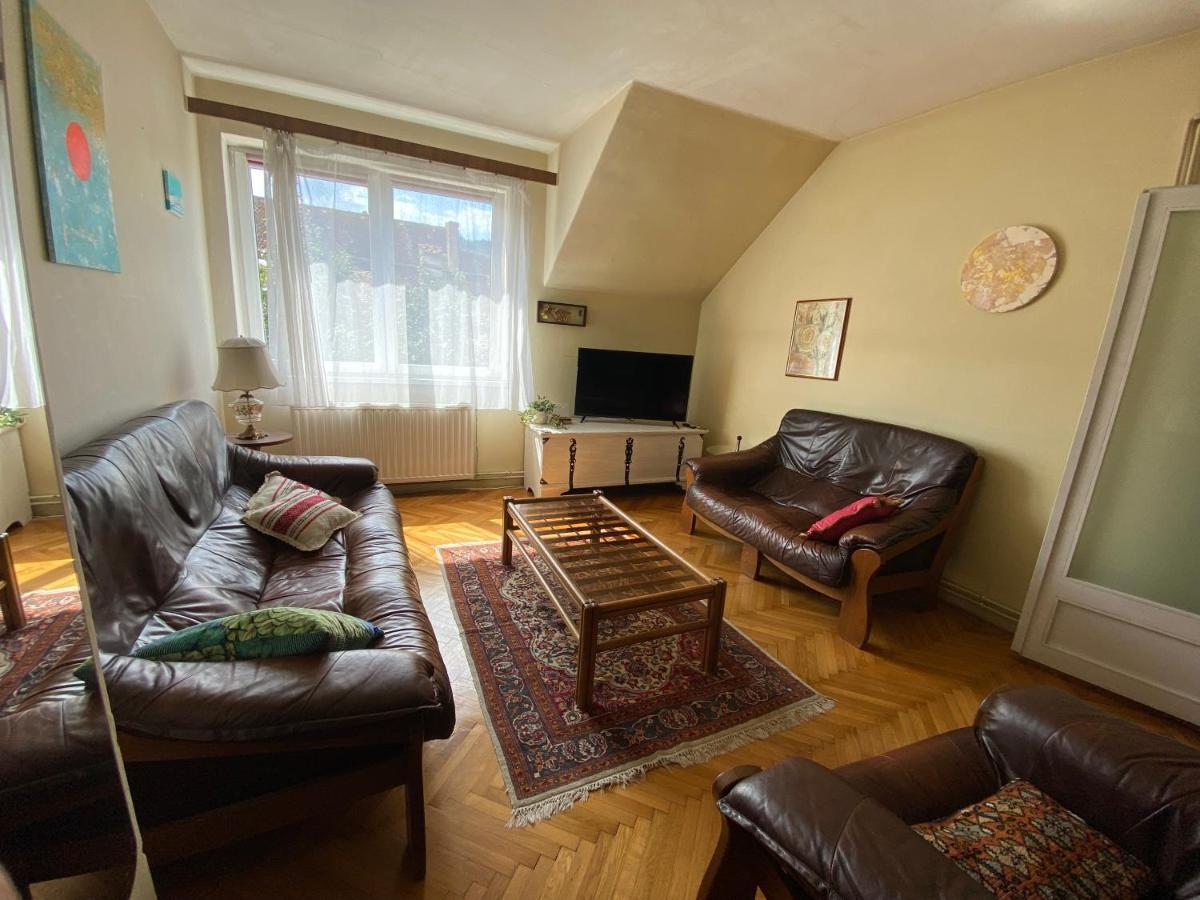 Rose'S Oldtown Apartment Брашов Экстерьер фото