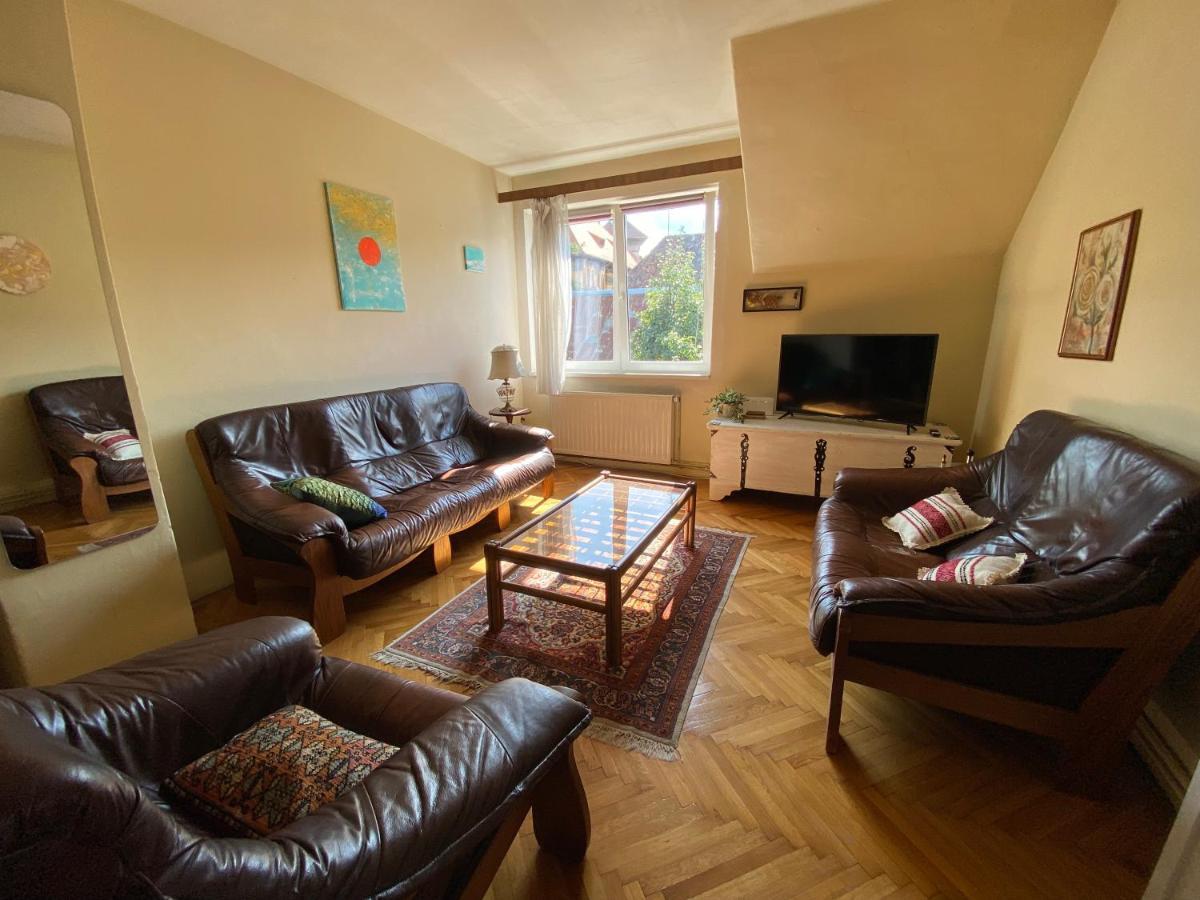 Rose'S Oldtown Apartment Брашов Экстерьер фото