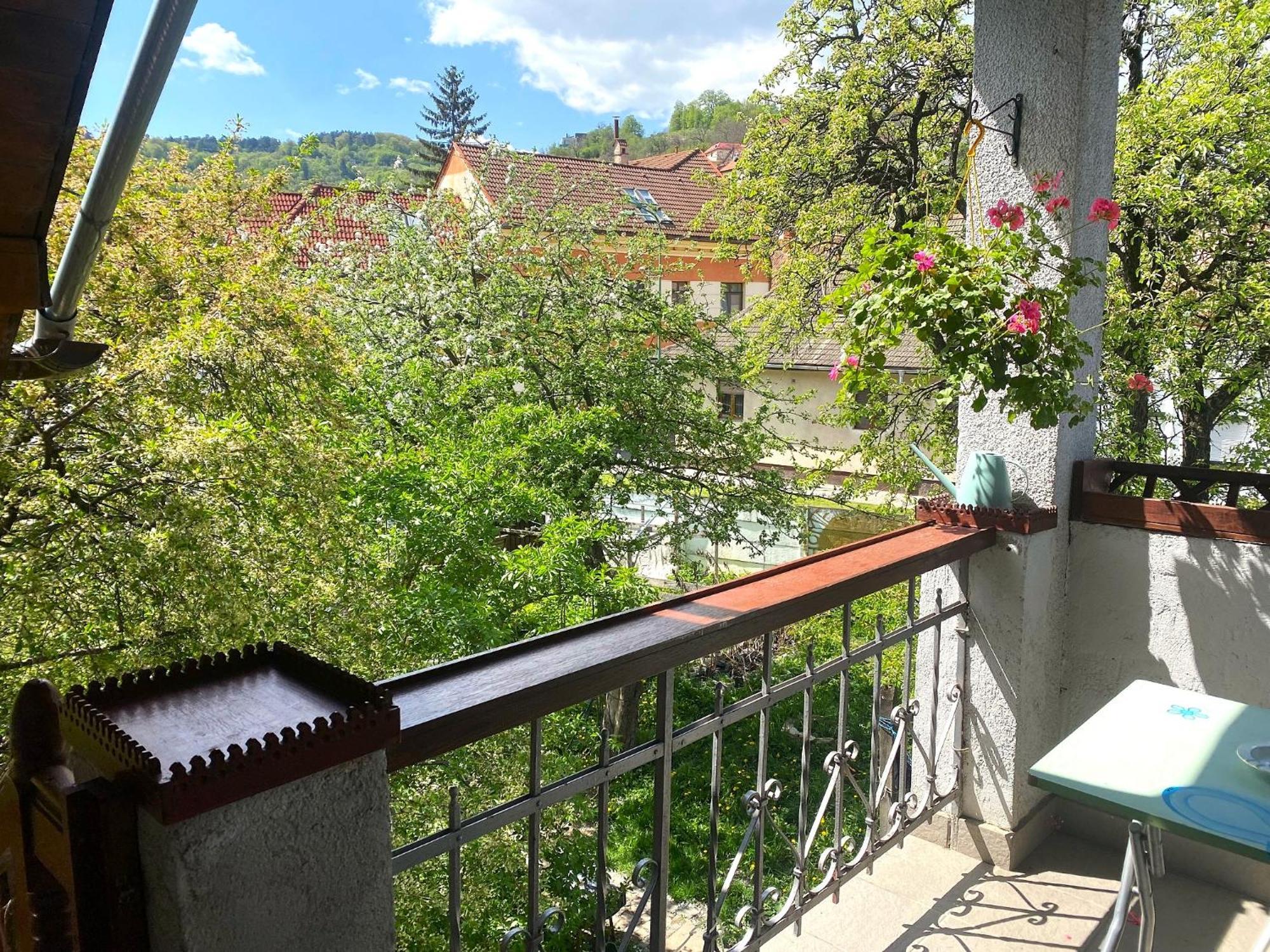 Rose'S Oldtown Apartment Брашов Экстерьер фото